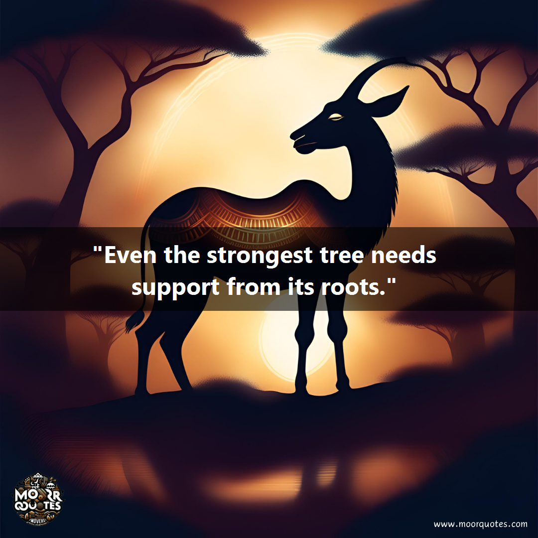 quote image for Central African Republic