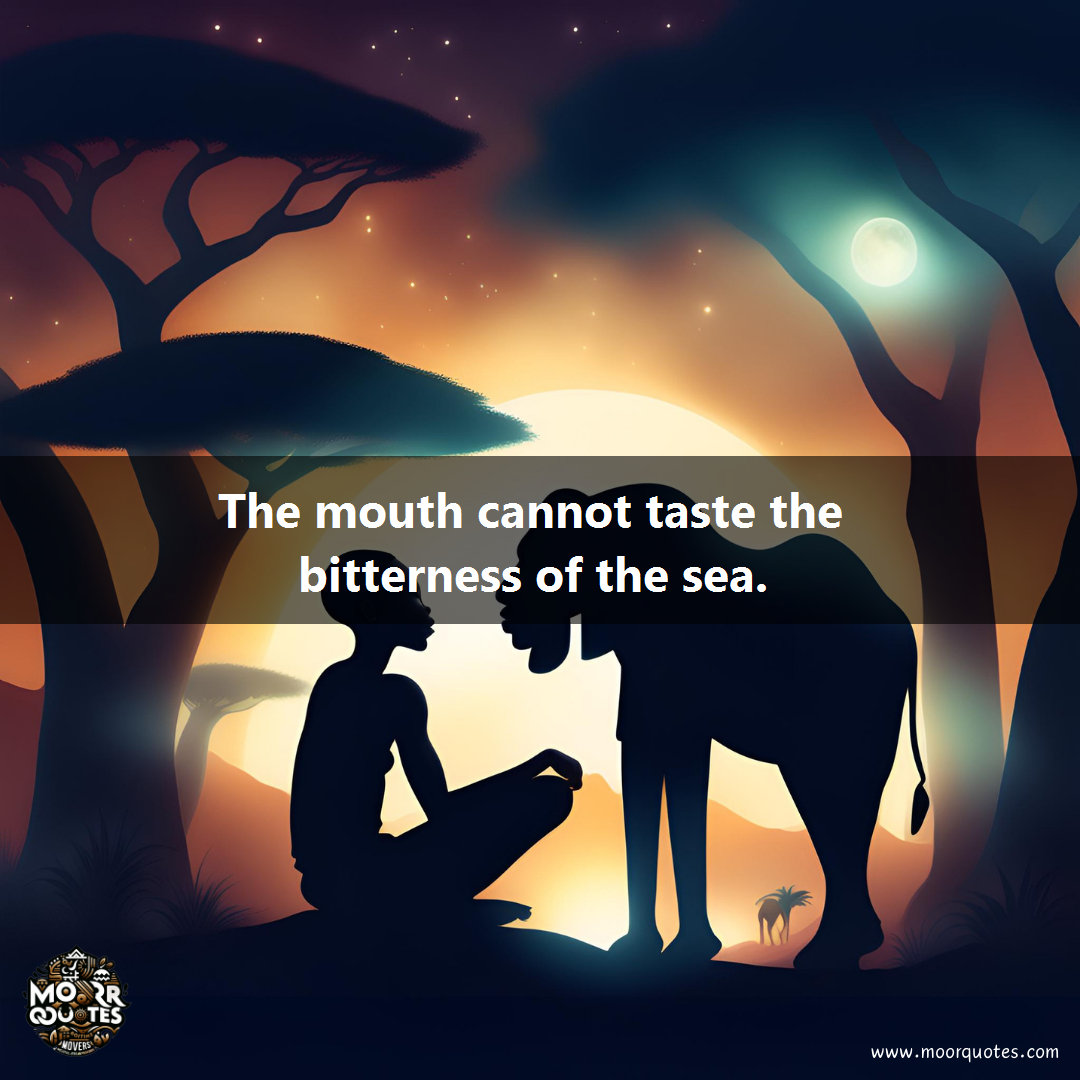 quote image for Zimbabwe