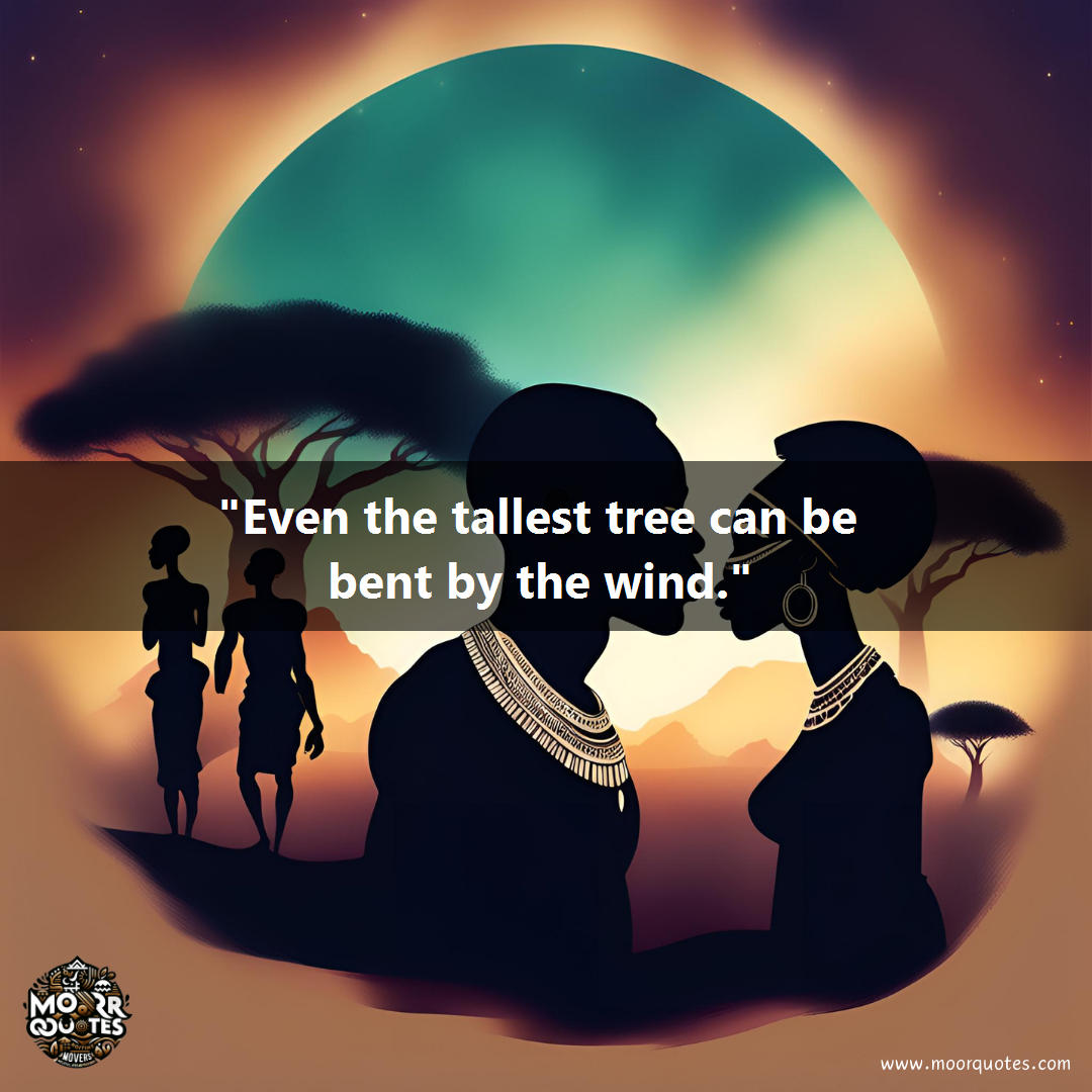 quote image for South Africa