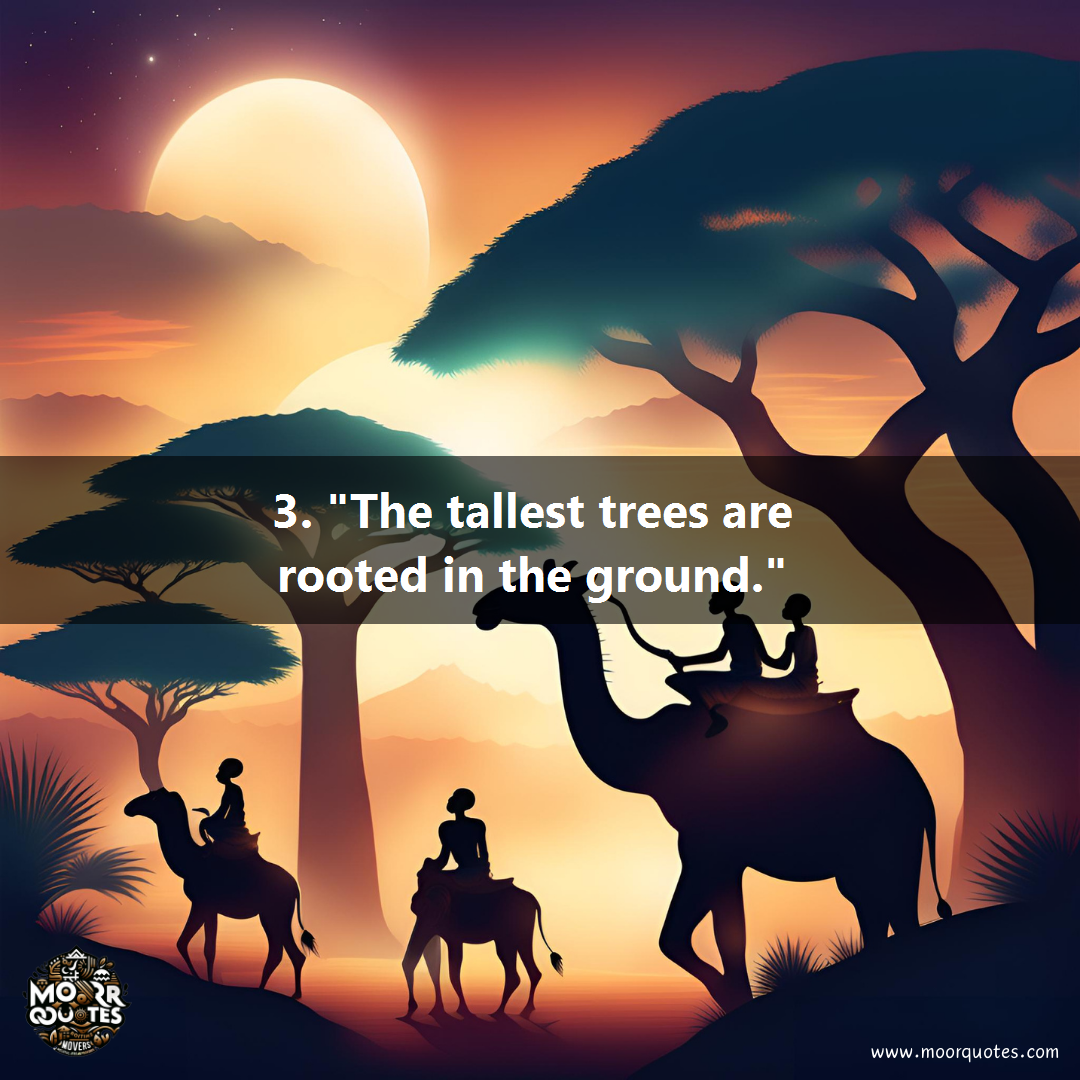quote image for Africa